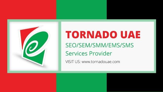 SEO Service provider