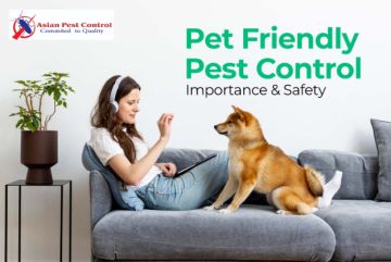 #Trained Pest Experts – Best Deals Today!