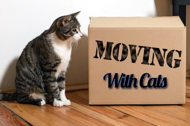Top 5 Packers and Movers Ludhiana