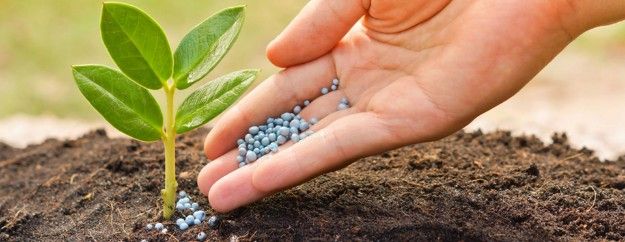 NABAT Trading provides organic fertilizer production in Dubai