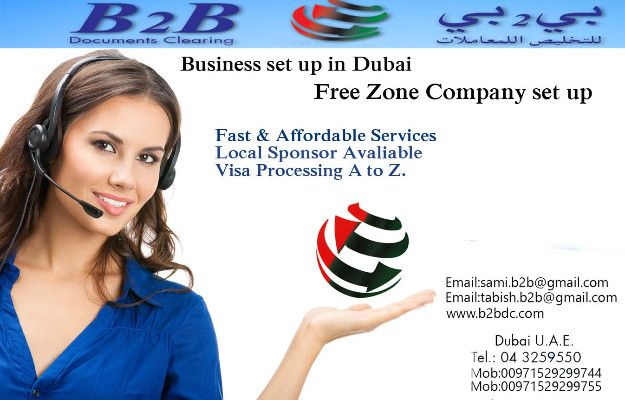 PRO SERVICES FOR VISA AND COMPANY FORMATION