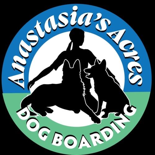 Your Pet's Comfort is Our Priority: Anastasia's Acres Dog Boarding