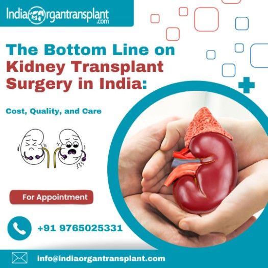 Cost of Kidney Transplant Surgery India