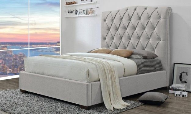 Shannon Platform Queen Size Bed For just 1259/- 