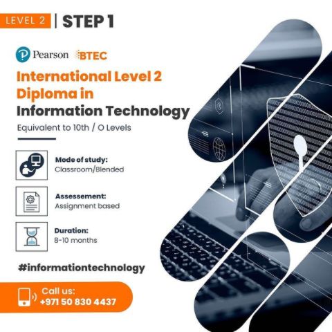  Pearson BTEC International Level 2 Diploma In Information Technology 
