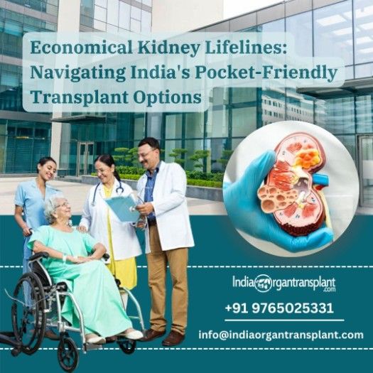 Average Cost of Kidney Transplant Surgery in India