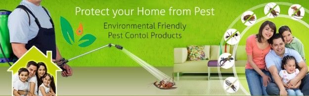 Pest Control in Dubai- Top Chemical &amp; Low Cost 