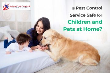 # Pest Starting @99AED – Contact Today  