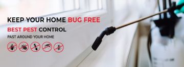 # 15 Yrs Exp. @ 99AED Pest Expert 