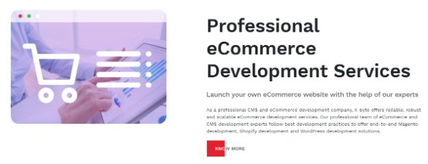 Professional ecommerce &amp; CMS Website Design and Development Services i